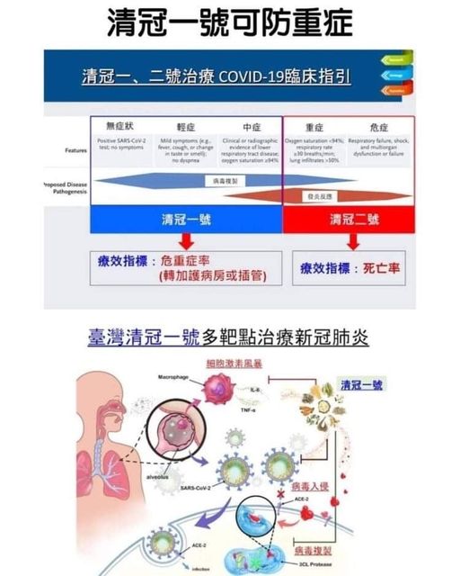 新冠一號