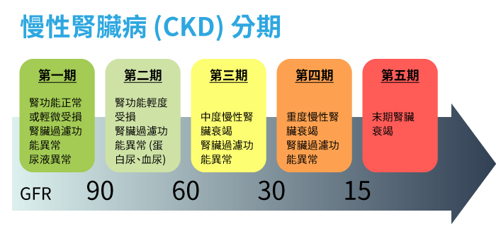 洗腎、內湖中醫診所、中醫減重、上班族減重、中醫減重門診